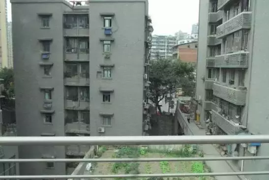 重慶這張照片轟動(dòng)了亞洲，震撼了全世界！耐斯設(shè)備模具行業(yè)領(lǐng)軍人